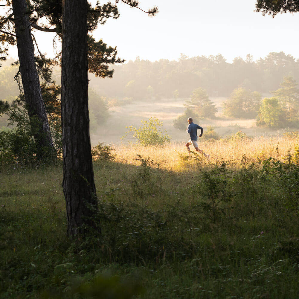 Sporteinlagen in Aktion Mann rennt über eine Wiese	 im Vordergrund steht ein Baum	 im Hintergrund sind Hügel