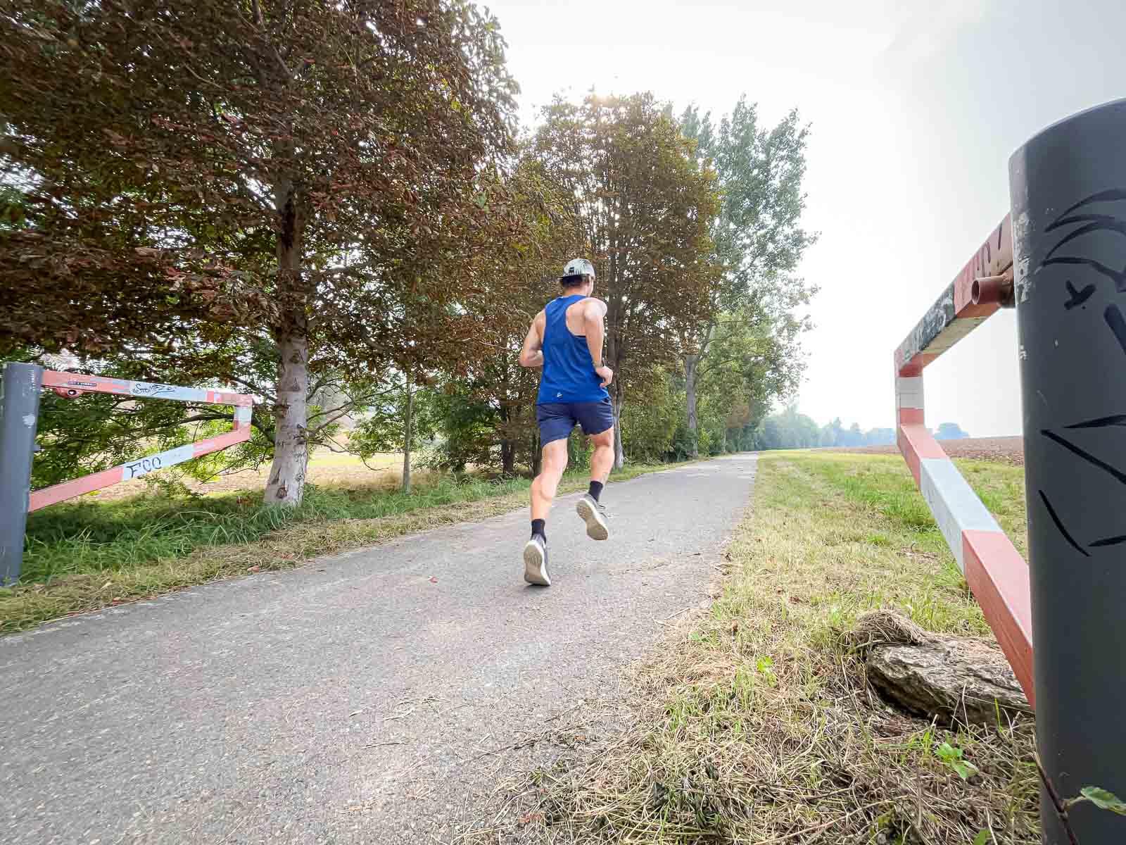 Lauftraining auf Asphalt – Intensive Trainingseinheit in der Natur. Ein Läufer in einem blauen Trikot läuft auf einem asphaltierten Weg in der Natur. Der Weg ist von Bäumen und einer rot-weißen Absperrung umgeben.