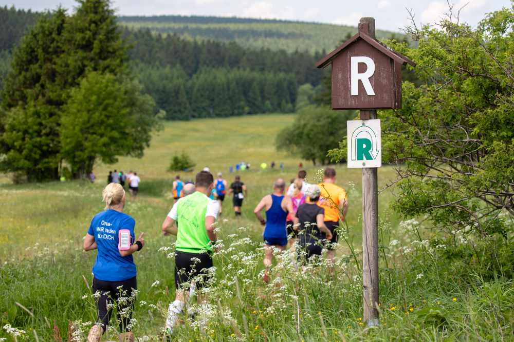 Rennsteiglauf: Marathon in der Natur Läufer des Rennsteiglaufs laufen durch die Natur