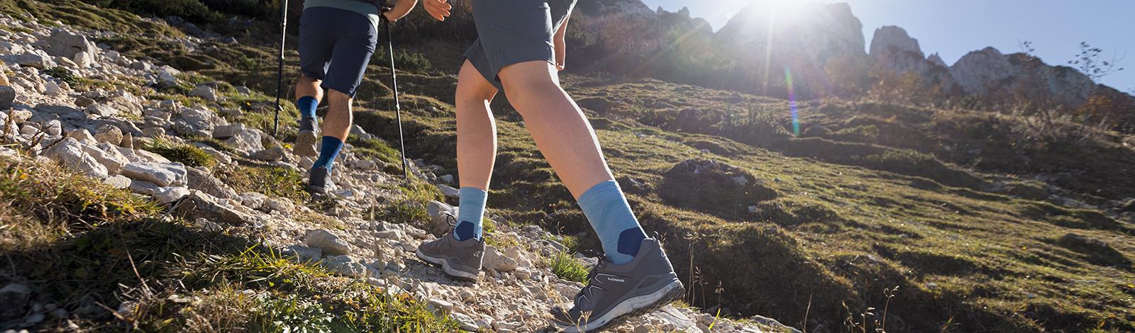 Zwei Wanderer mit mittellangen blauen Wandersocken gehen einen Geröllpfad in einer idyllischen grünen Berglandschaft nach oben