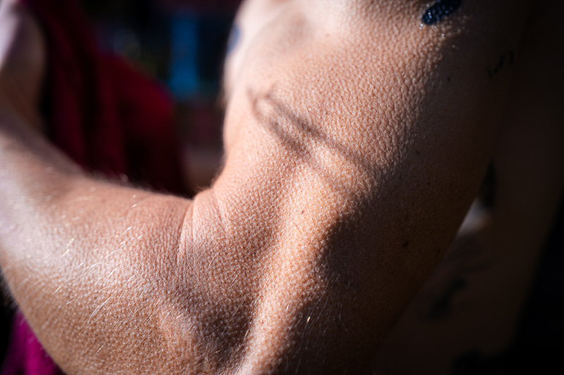 Unterarm mit Gänsehaut als Kälteeffekt Detailaufnahme eines Unterarms mit Gänsehaut, der Effekt der Kälte ist deutlich auf der Haut sichtbar.