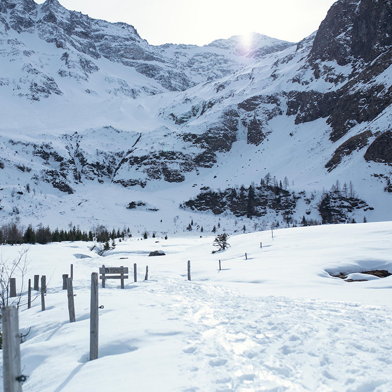 Portrait der Winterlandschaft in den Alpen
