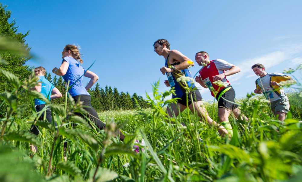 Rennsteiglauf: Marathon durchs hohe Gras Momentaufnahme des Rennsteiglaufs durchs Gras