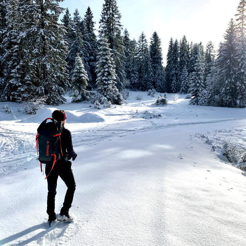 Mädchen mit Rucksack schaut in Richtung eines verschneiten Waldes